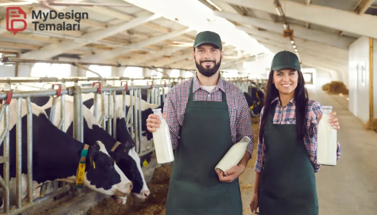 Peternakan Sapi Perah